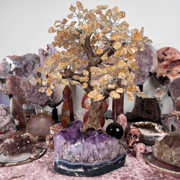 Citrine Tree๐๐๏ธ๐ RB1 - Picture 3 of 6